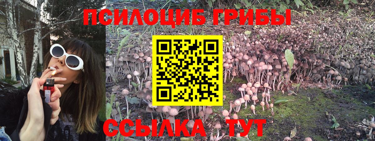 Галлюциногенные грибы GOLDEN TEACHER  Галлюциногенные грибы мухоморы  Вход с VPN  Кирово-Чепецк 